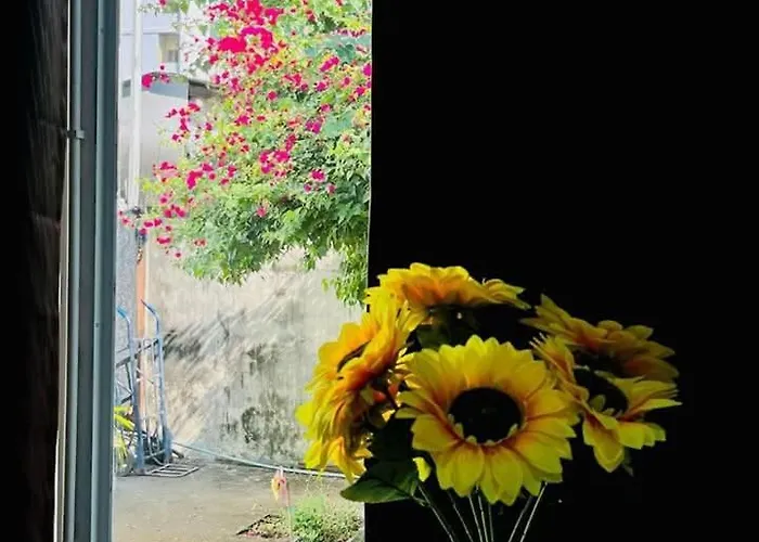 Magic Garden